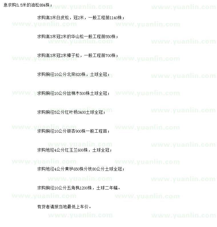 求購油松、白皮松、華山松等