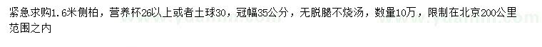 求購1.6米側柏