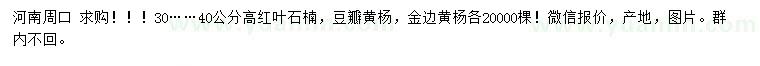 求購紅葉石楠、豆瓣黃楊、金邊黃楊