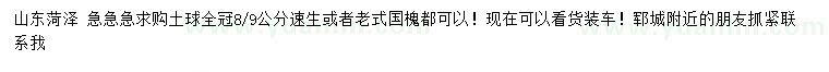 求購8、9公分速生或者老式國槐