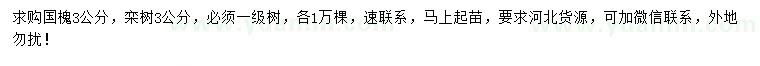 求購3公分國槐、欒樹