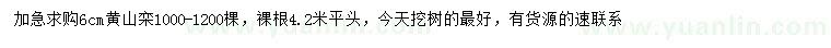求購(gòu)6公分黃山欒