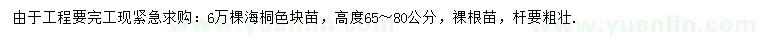 求購海高65-80公分桐色塊苗
