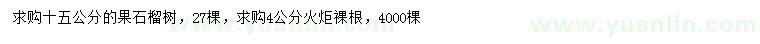 求購(gòu)15公分果石榴、4公分火炬