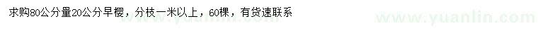 求購80公分量20公分早櫻