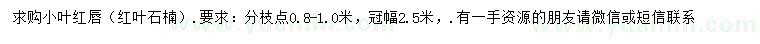 求購(gòu)冠幅2.5米小葉紅唇（紅葉石楠）