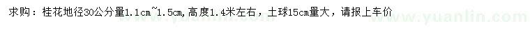 求購地徑30公分量1.1-1.5公分桂花