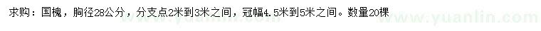 求購28公分國槐