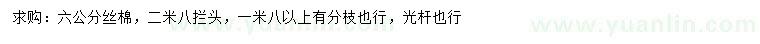 求購6公分絲棉木