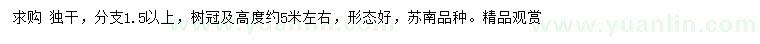 求購胸徑20-25公分枇杷