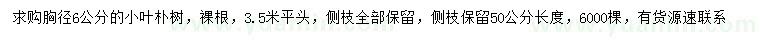 求購胸徑6公分小葉樸樹