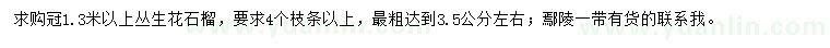 求購(gòu)冠幅1.3米以上叢生花石榴