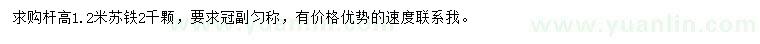 求購桿高1.2米蘇鐵