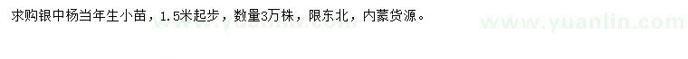 求購(gòu)1.5米起步銀中楊小苗