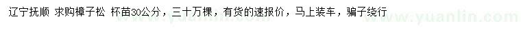 求購30公分樟子松