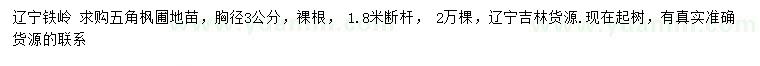 求購胸徑3公分五角楓