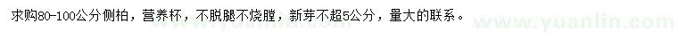 求購80-100公分側(cè)柏