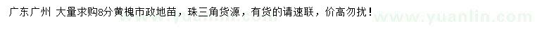 求購8分分黃槐