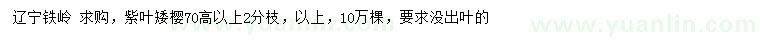 求購高70公分以上紫葉矮櫻