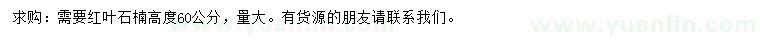 求購高60公分紅葉石楠小苗  
