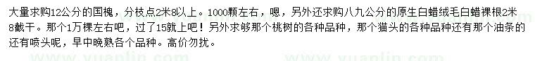 求購國槐、原生白蠟、絨毛白蠟等