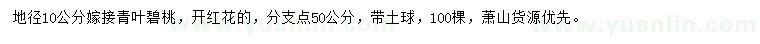 求購地徑10公分青葉碧桃