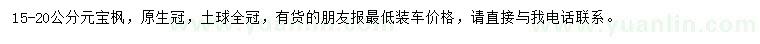 求購15-20公分元寶楓