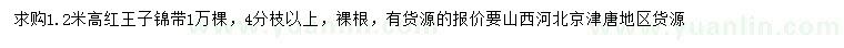 求購高1.2米紅王子錦帶