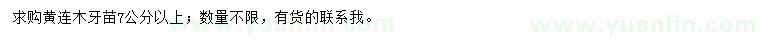 求購黃連木芽苗