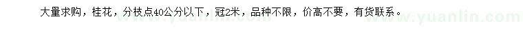求購(gòu)分枝點(diǎn)40公分以下桂花