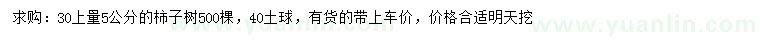 求購30上量5公分柿子樹
