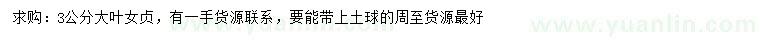 求購3公分大葉女貞