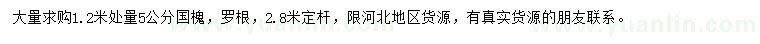 求購(gòu)1.2米處量5公分國(guó)槐