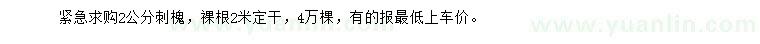 求購2公分刺槐