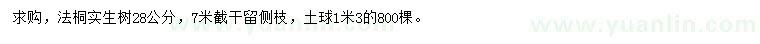 求購28公分法桐
