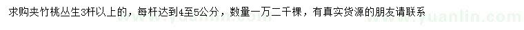 求購(gòu)叢生夾竹桃