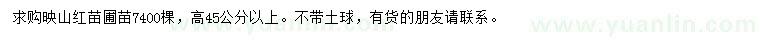 求購(gòu)高45公分以上映山紅