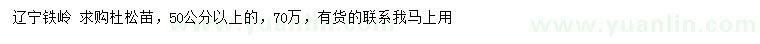 求購50公分以上杜松苗