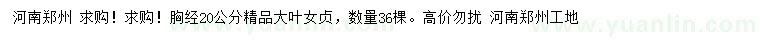 求購胸徑20公分大葉女貞
