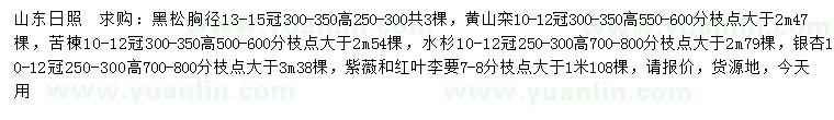 求購黑松、黃山欒、苦楝等
