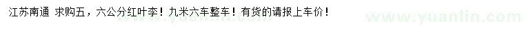求購5、6公分紅葉李