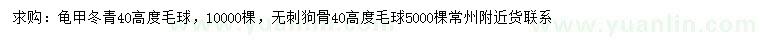 求購高40公分龜甲冬青毛球、無刺枸骨毛球