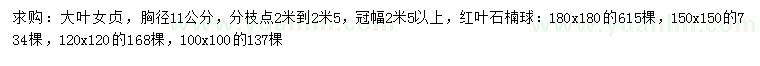 求購胸徑11公分大葉女貞、紅葉石楠球
