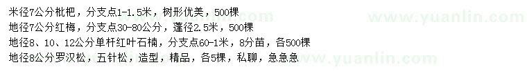 求購(gòu)枇杷、紅梅、紅葉石楠等