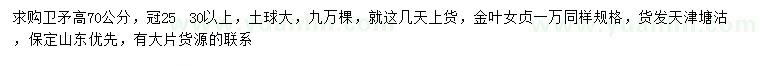 求購高70公分衛(wèi)矛、大葉女貞