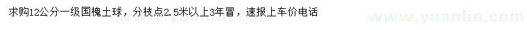 求購12公分國槐