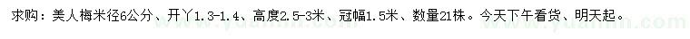 求購米徑6公分美人梅