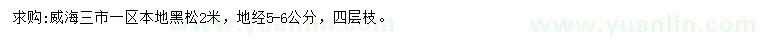 求購(gòu)2米本地黑松