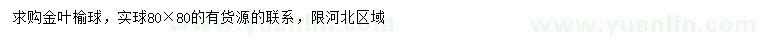 求購80*80金葉榆球