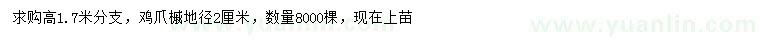 求購地徑2公分雞爪槭